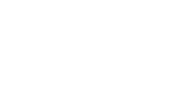 BeForService Consulting and Training logo
